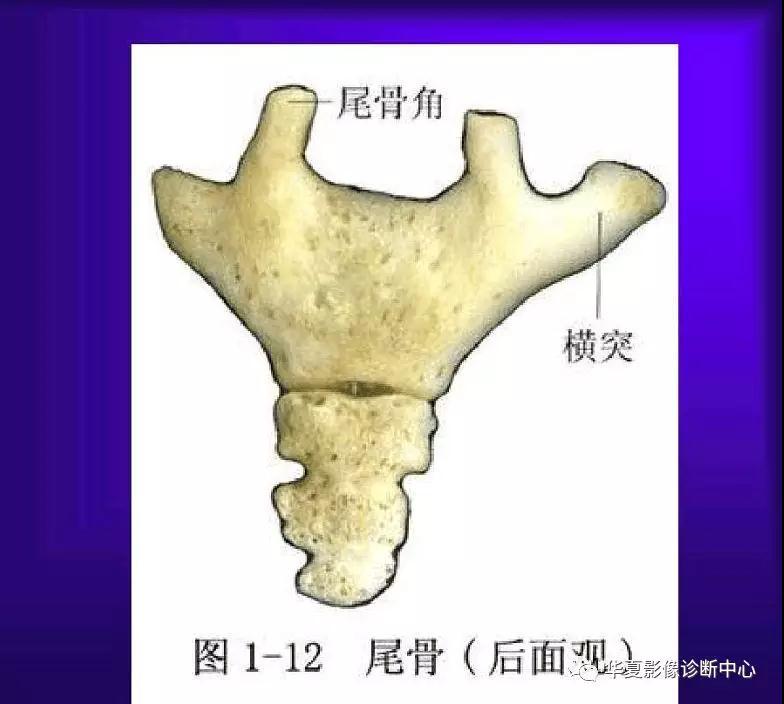 迪恩醫(yī)療