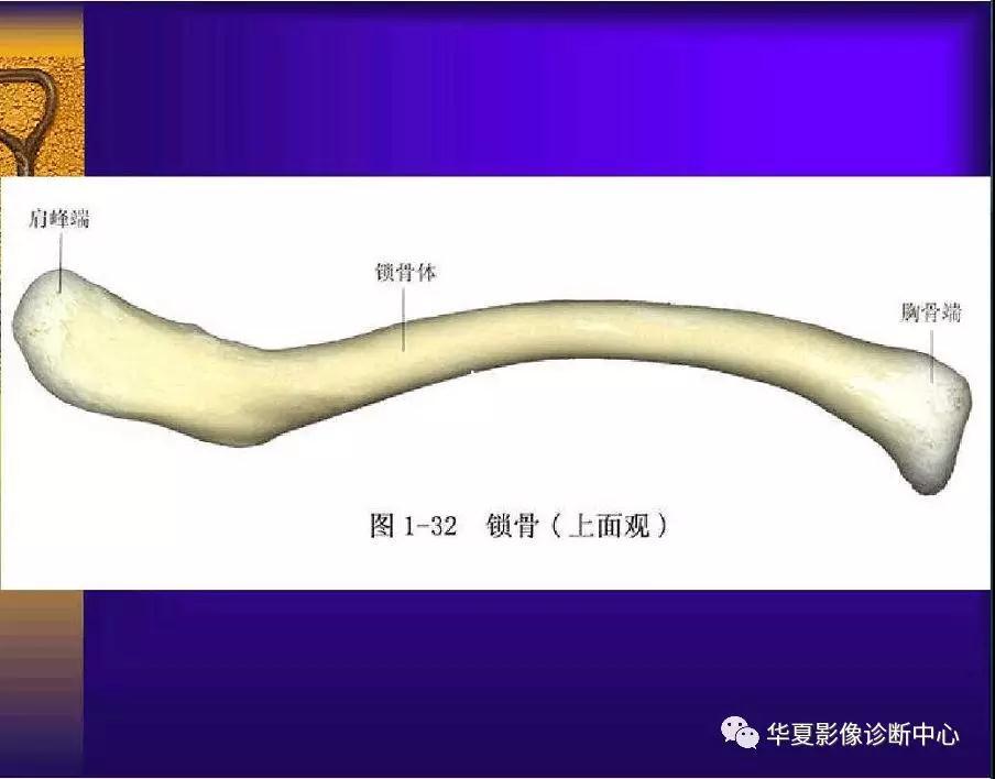 迪恩醫(yī)療