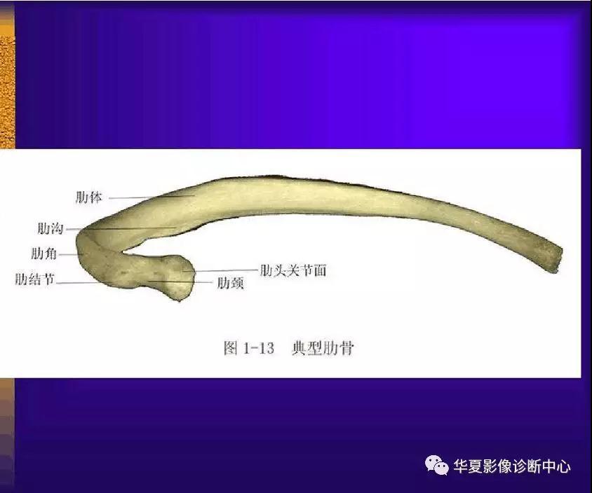 迪恩醫(yī)療