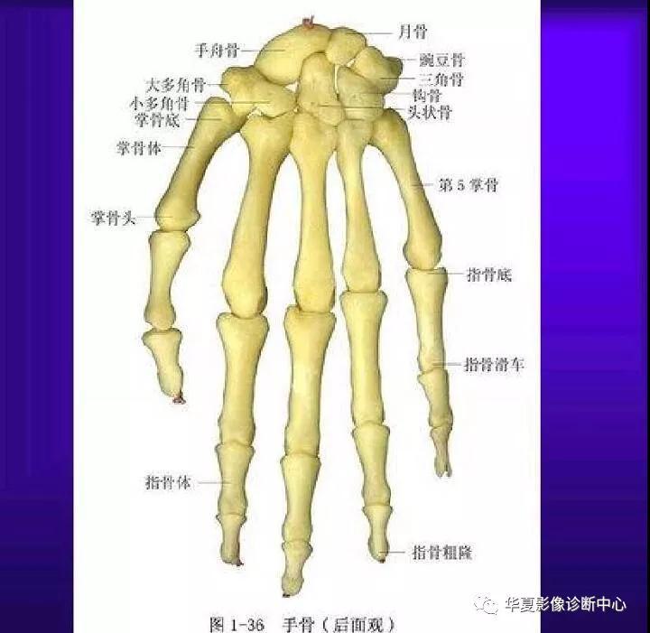 迪恩醫(yī)療