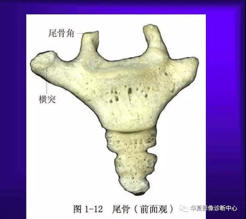 迪恩醫(yī)療