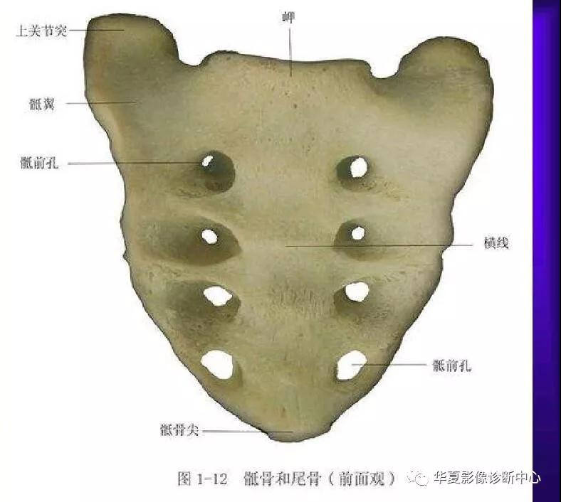 迪恩醫(yī)療