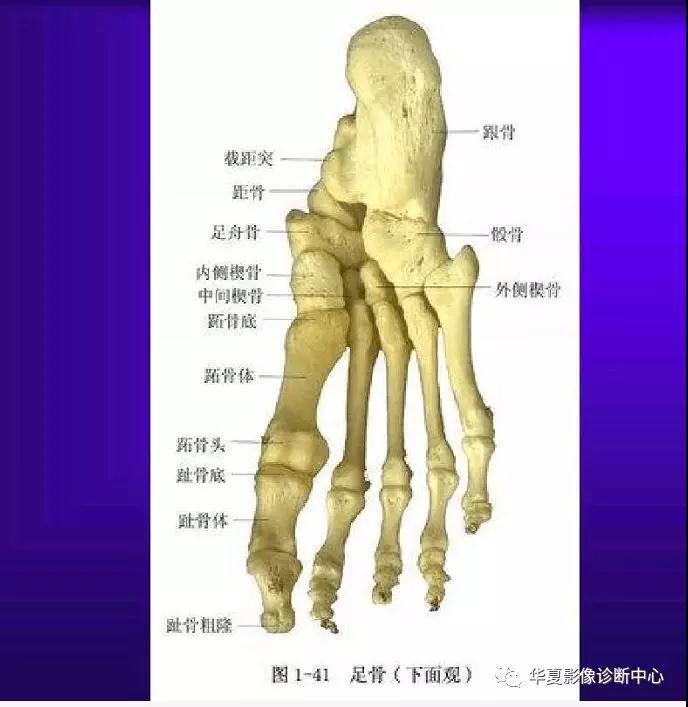 迪恩醫(yī)療
