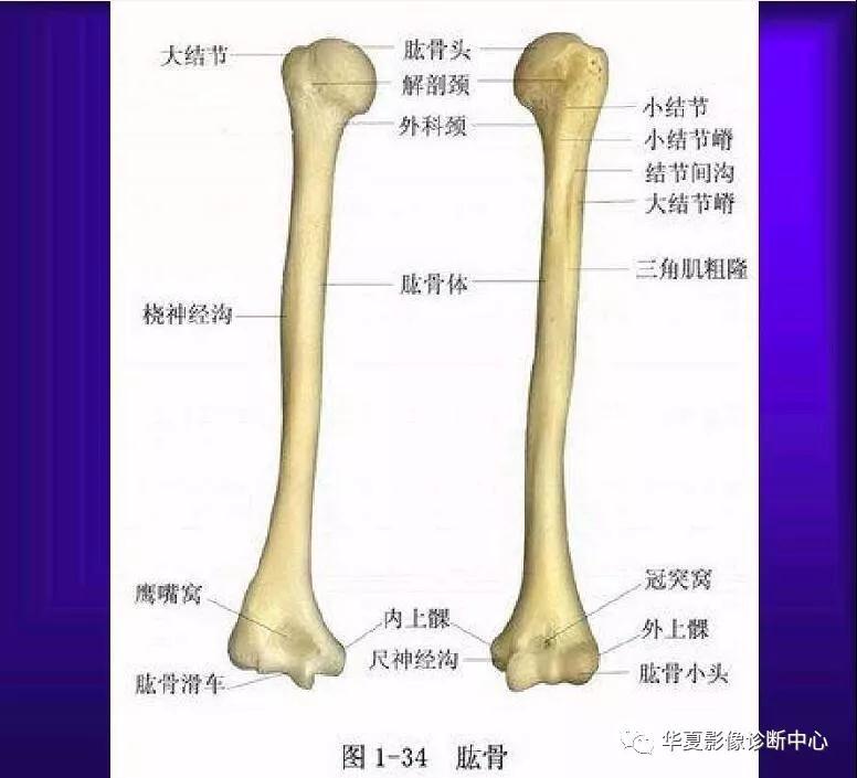 迪恩醫(yī)療