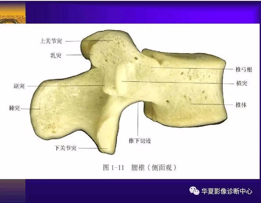 迪恩醫(yī)療