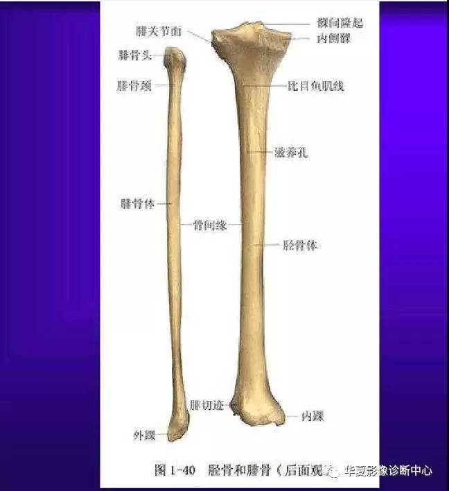 迪恩醫(yī)療