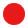 所获荣誉