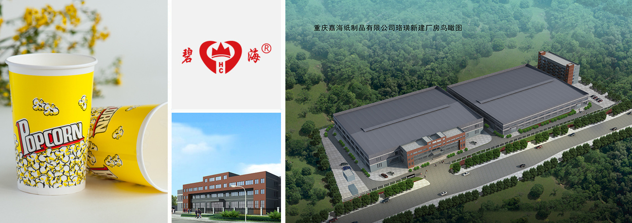 Company Profile
