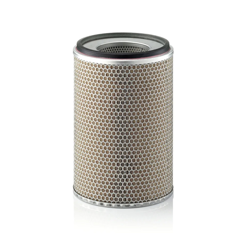 air filter C24719