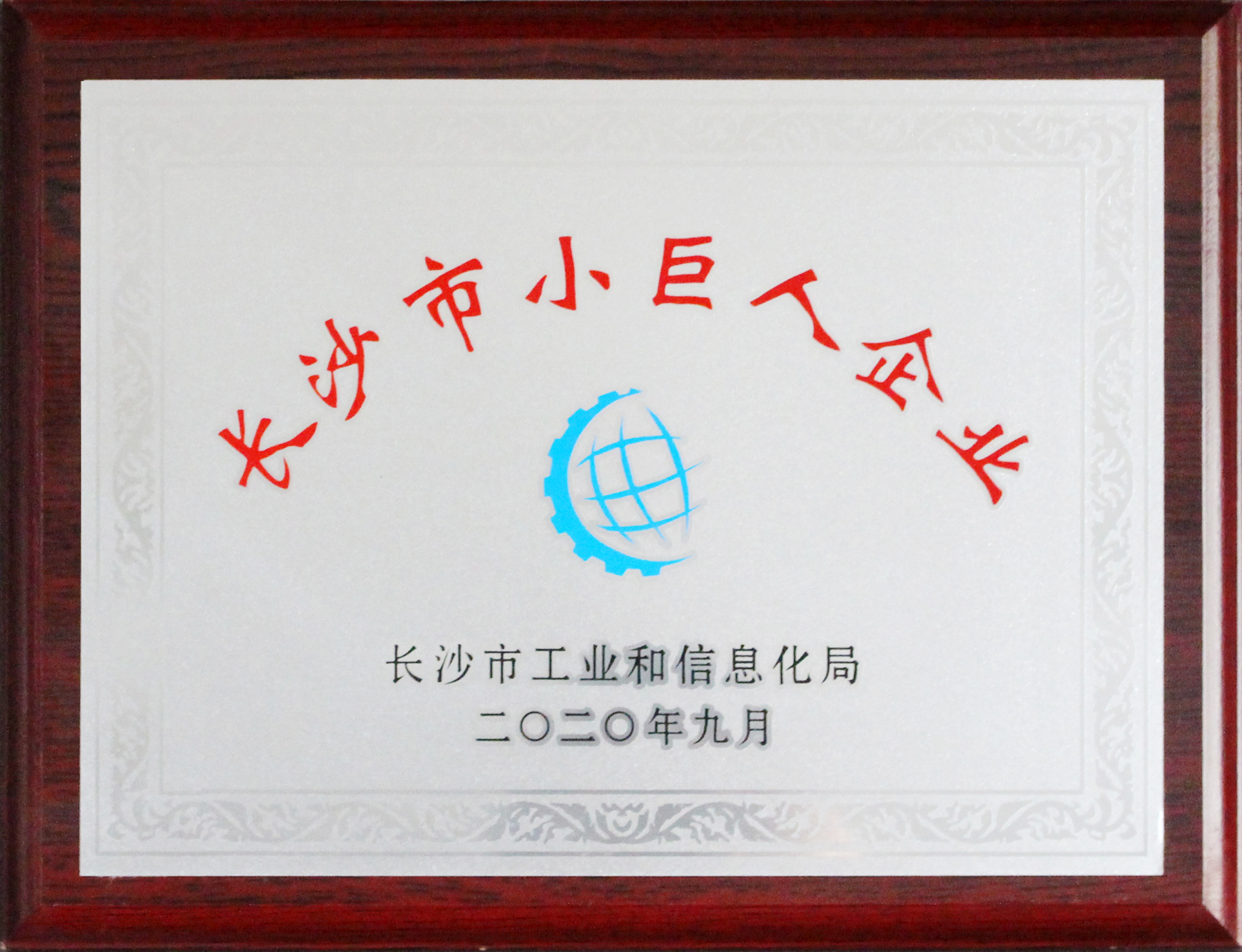长沙市小巨人企业