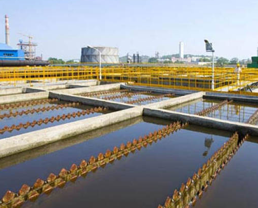 Biological denitrification of sewage