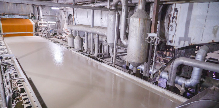 paper mill pulp