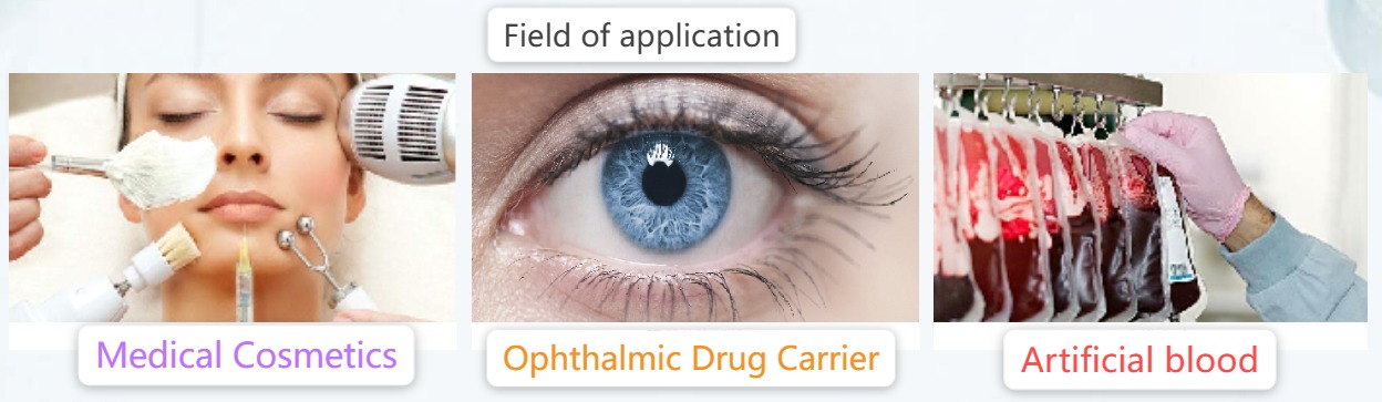 Ophthalmology