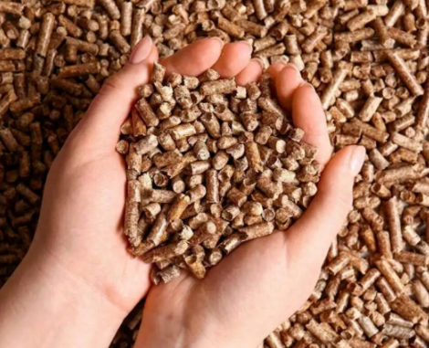 feed additives