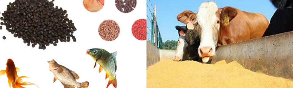 Aquaculture, livestock farming