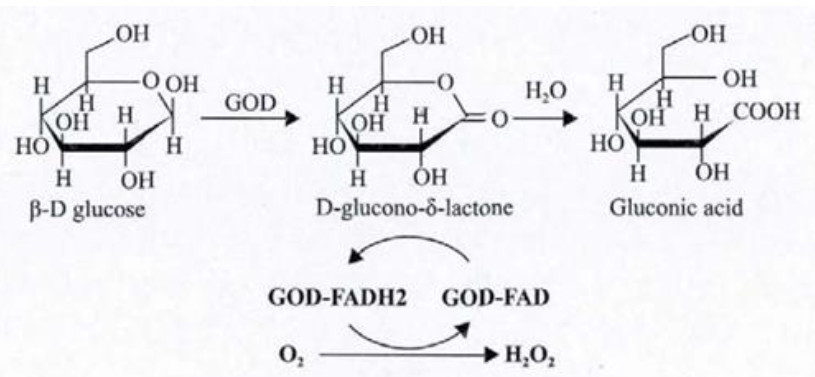 gluconic acid