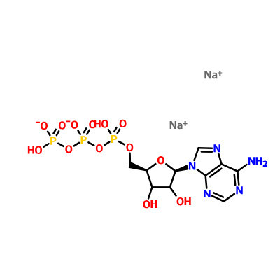 Adenosine 5'-triphosphate disodium salt(ATP) CAS 51963-61-2 Adenosine 5'-triphosphate disodium salt(ATP) CAS 51963-61-2