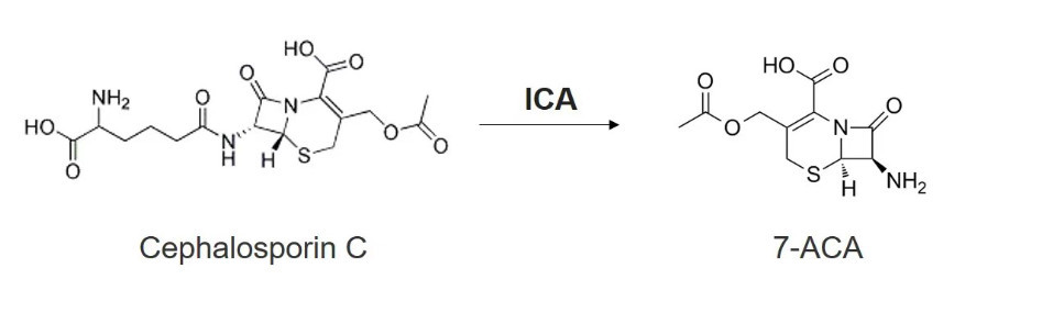 7-ACA