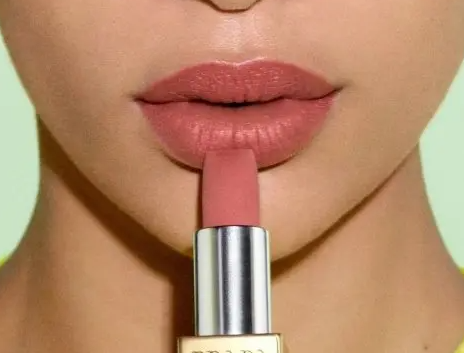 Foundation, lipstick product formula