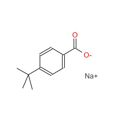 SODIUM P-T-BUTYLBENZOATE CAS 17264-53-8 SODIUM P-T-BUTYLBENZOATE CAS 17264-53-8
