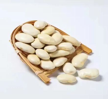 White Kidney Bean Extract
