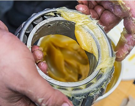 Bearing preservatives