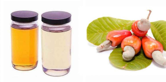 cardanol