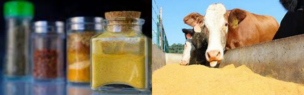 Feed, food additives