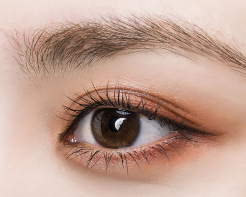 Eyeshadow Makeup
