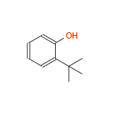 2-tert-Butylphenol CAS 88-16-6 2-tert-Butylphenol CAS 88-16-6