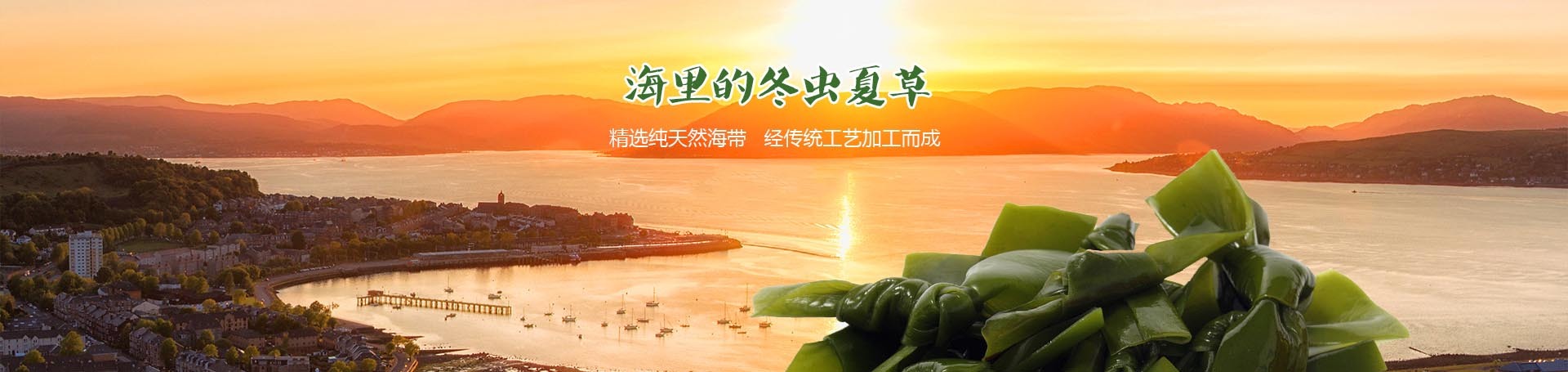 海里的冬虫夏草