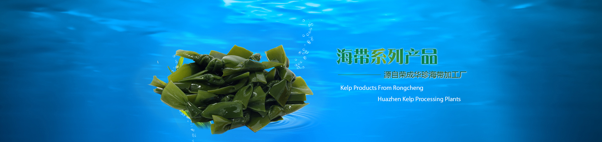 海带系列