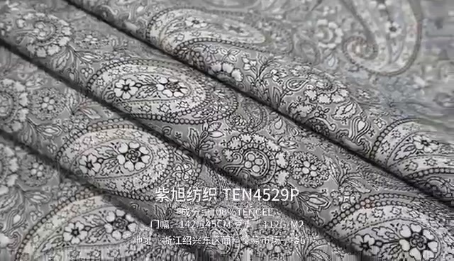 TEN4529P