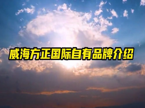威海方正国际自有品牌介绍