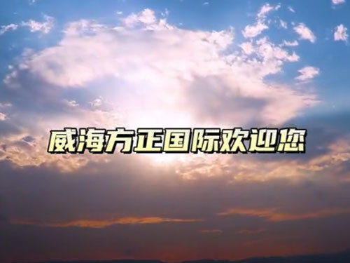 威海方正国际合作有限公司介绍