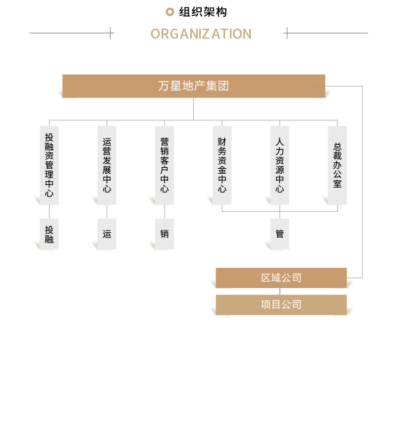 职能部门架构