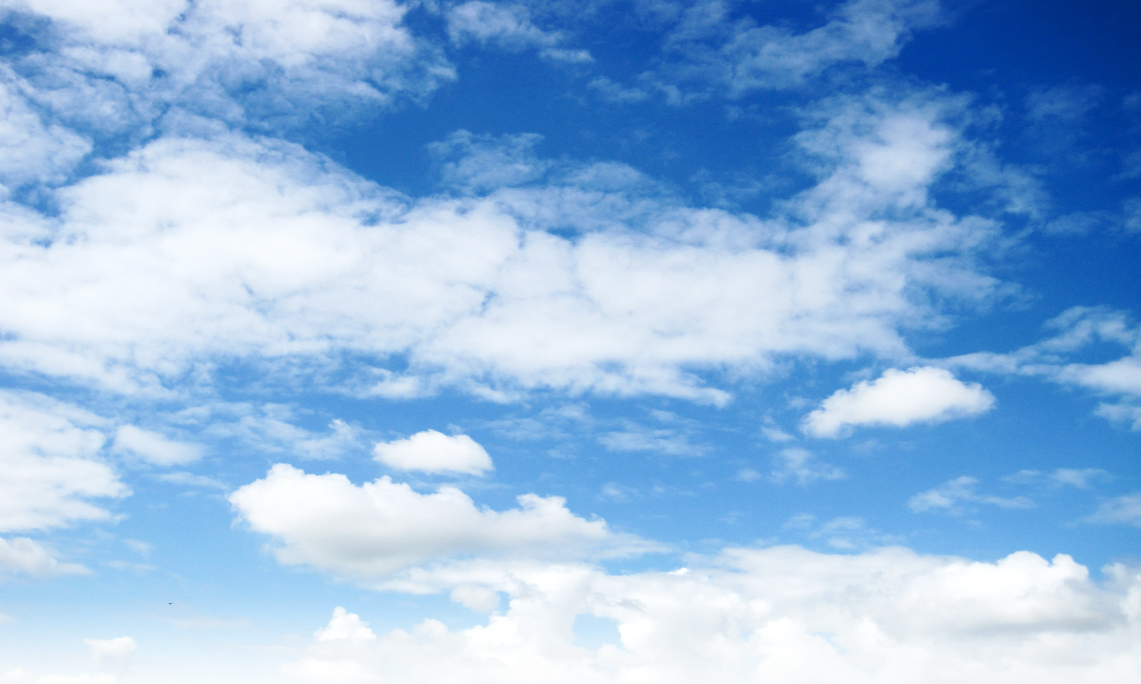 sbanner