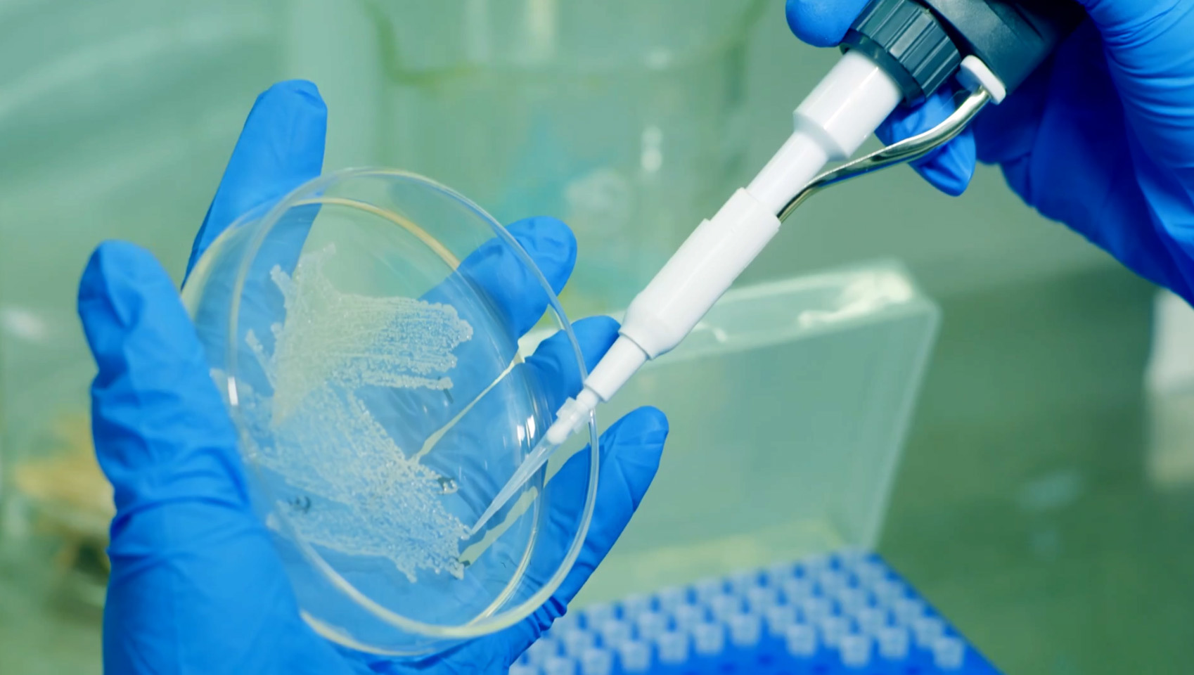 微生物檢測要求你做到了嗎？
