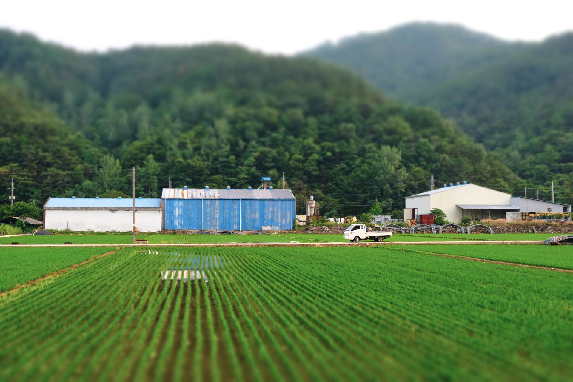 行業動態 | 河北“無廢城市”建設全面推開