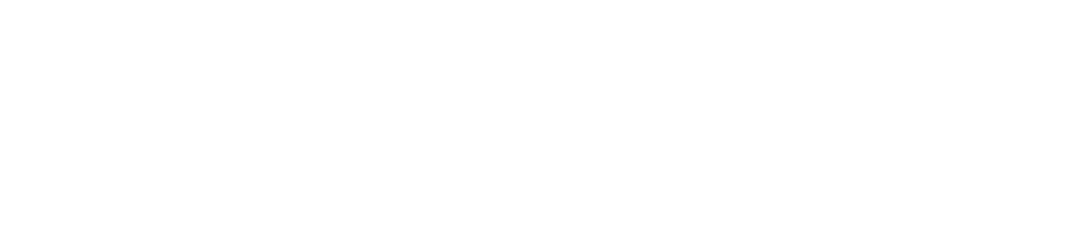 lizer lizer