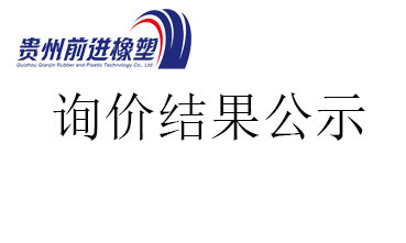 贵州前进橡塑科技有限公司 2026 年省级财政专项资金项目的辅导咨询服务采购结果的成交通知书