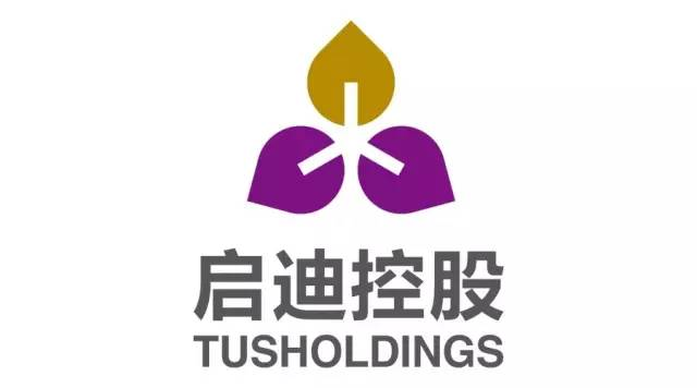 清华启迪
