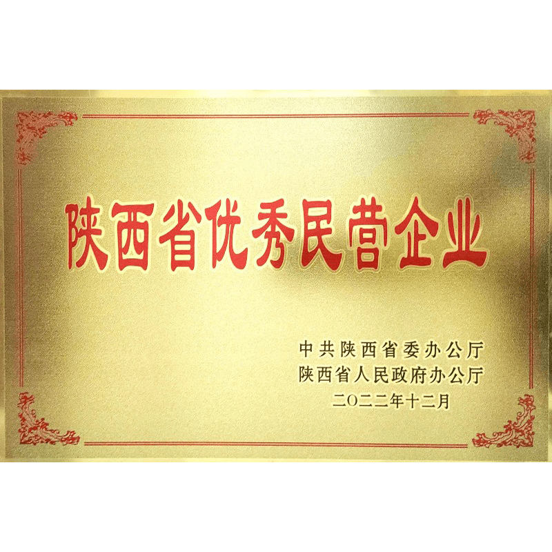 陕西省优秀民营企业