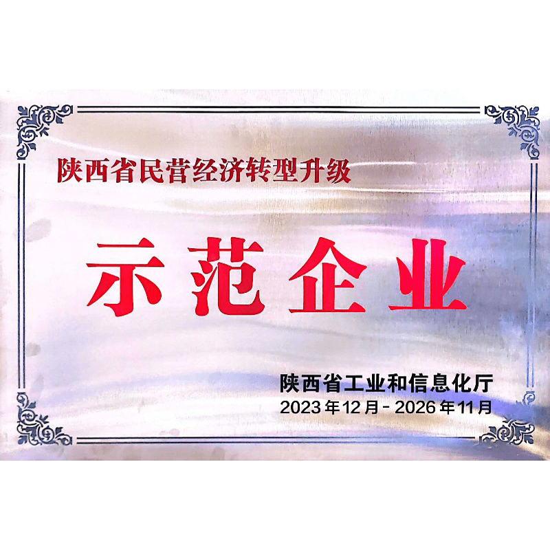 示范企业