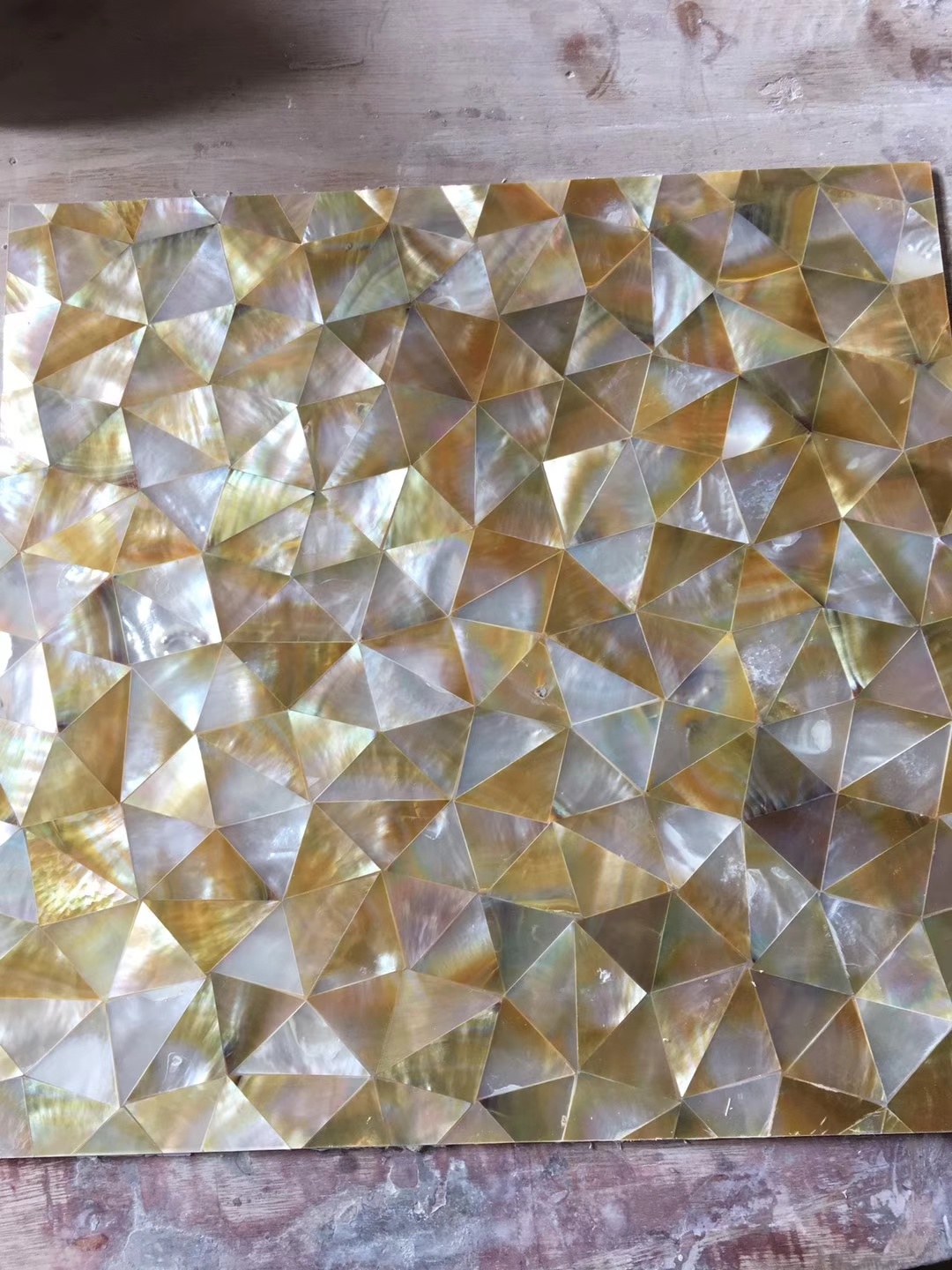 Seashell mosaic