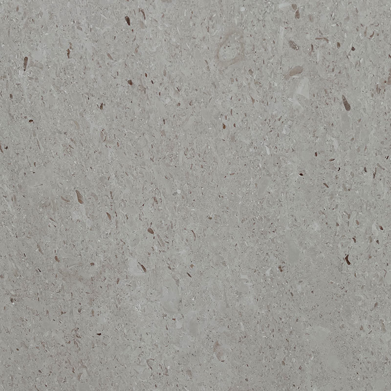Seashell Limestone