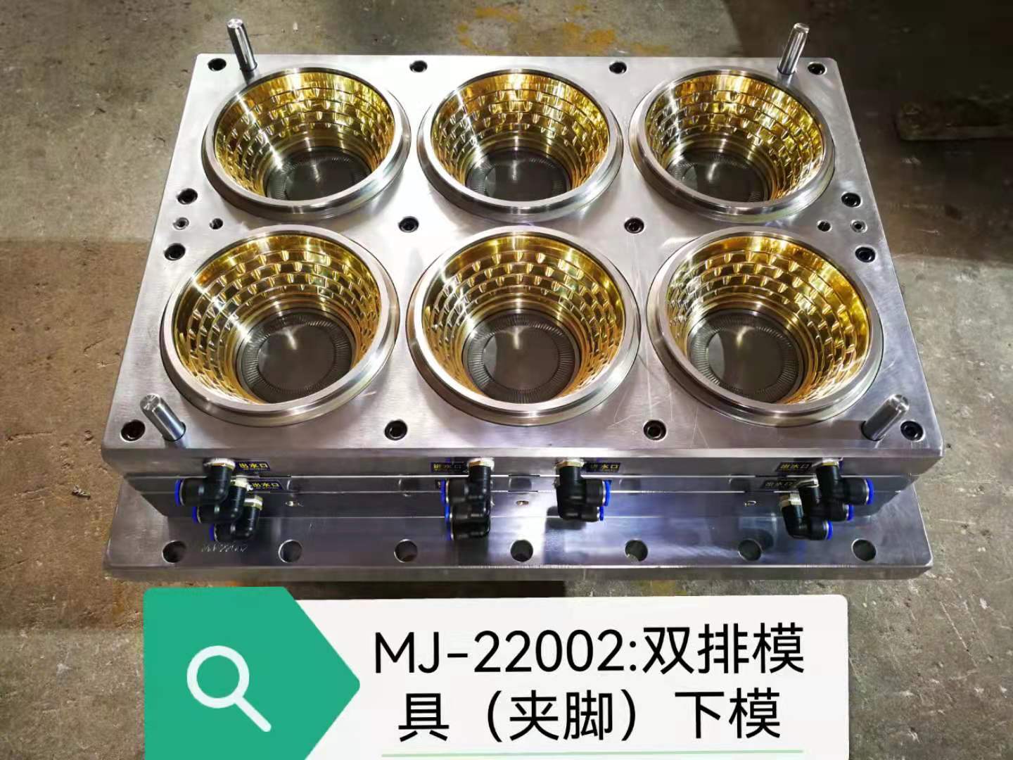 mold