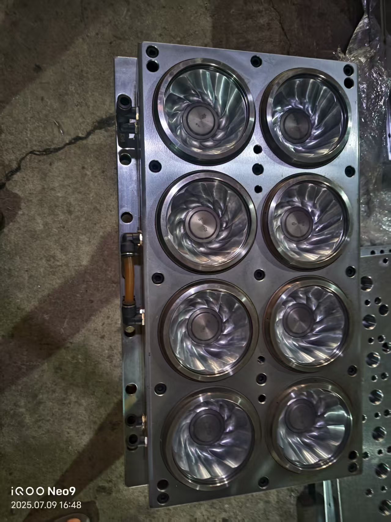 jelley cup mold