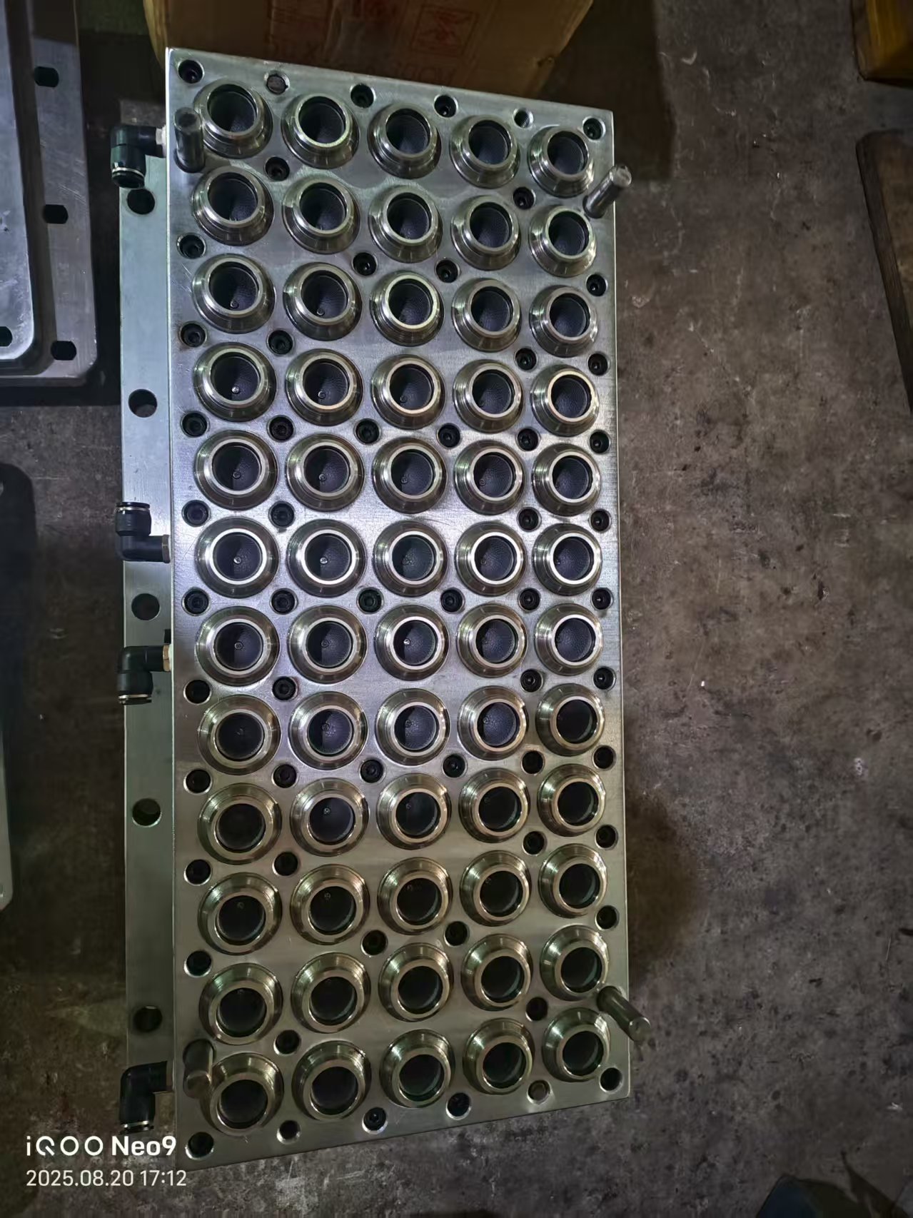mold