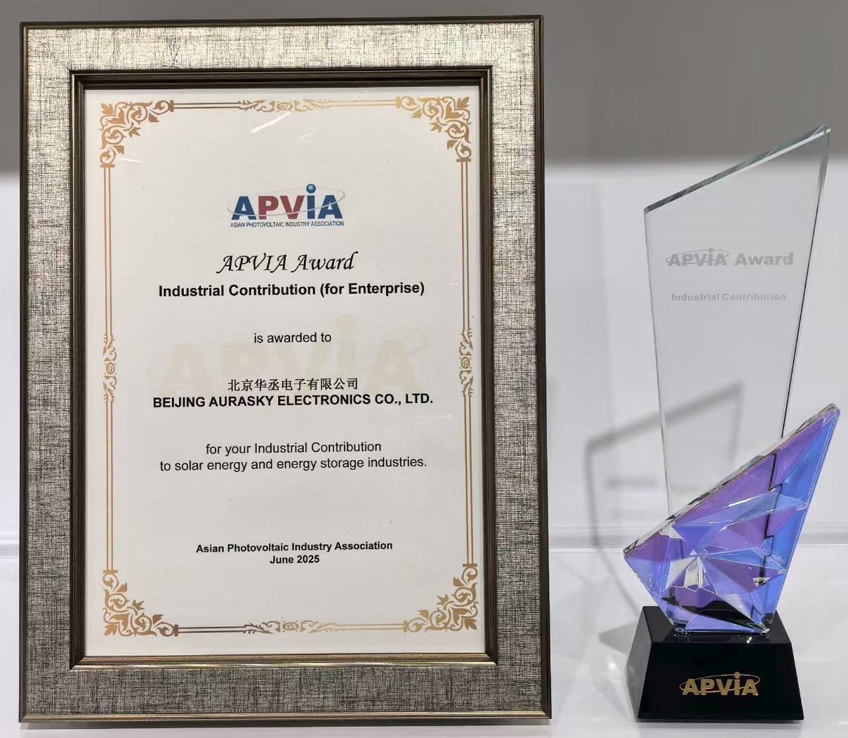 APVIA 亚洲光储应用奖 APVIA 亚洲光储应用奖